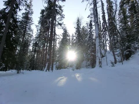 Winterland 2 Stock Photos