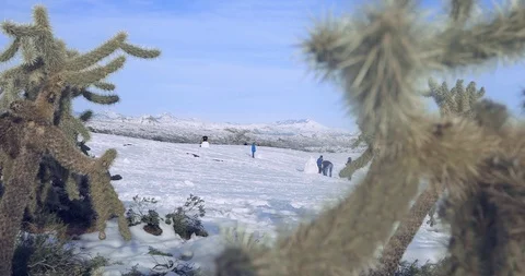 Winterland in the Desert. Stock Footage 104271453