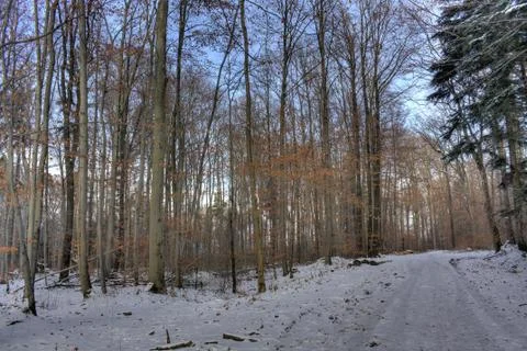 Winterlandschaft Stock Photos