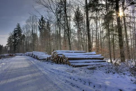 Winterlandschaft Stock Photos