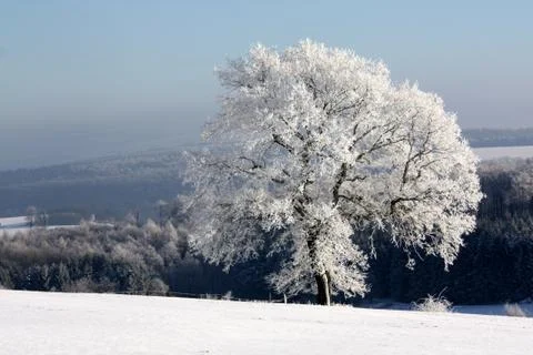 Winterlandschaft Stock Photos