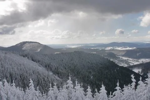 Winterlandschaft Stock Photos