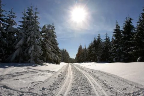 Winterlandschaft Stock Photos