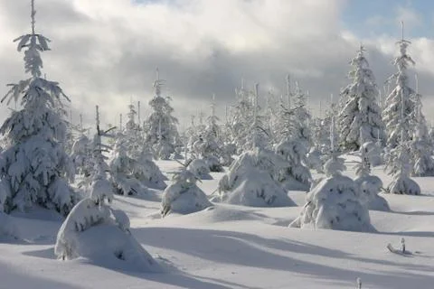 Winterlandschaft Stock Photos