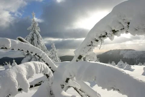 Winterlandschaft Stock Photos