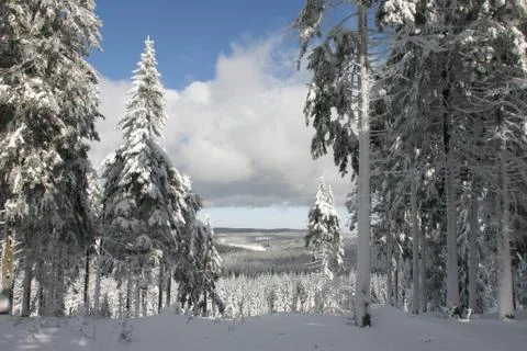 Winterlandschaft Stock Photos