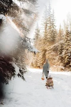 Winter's Embrace Foto stock