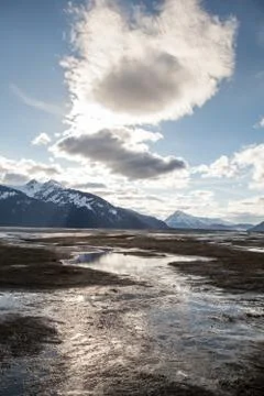 Winter's end Stock Photos