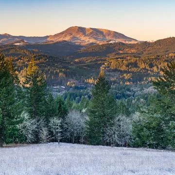 Winter's Rare Appearance Stock Photos