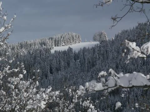 Winters Scene Stock Photos