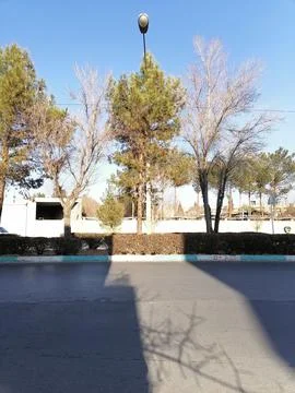 Winter’s Shadow Play Stock Photos