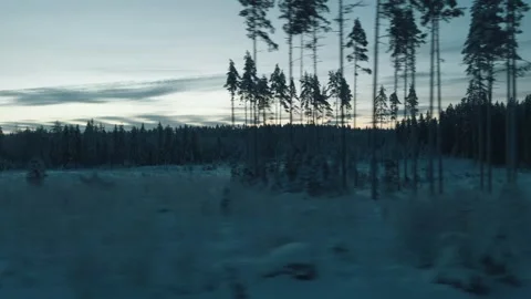 Winter’s Sunrise Embrace Stock-Footage 264127973