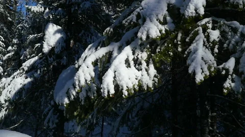 Winter's Tale Stock Footage 47495365