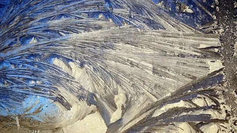 Winter's tale Stock-Footage 144515282