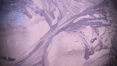 Winter's tale Stock-Footage 144515494