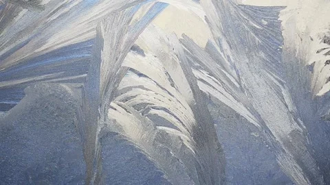 Winter's tale 動画素材 144517804