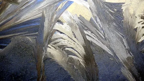 Winter's tale 動画素材 144518232