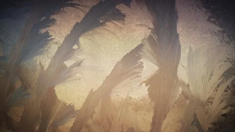 Winter's tale 動画素材 144535186