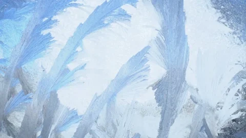 Winter's tale 動画素材 144535333