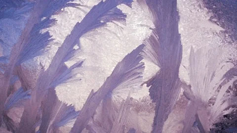 Winter's tale 動画素材 144535530