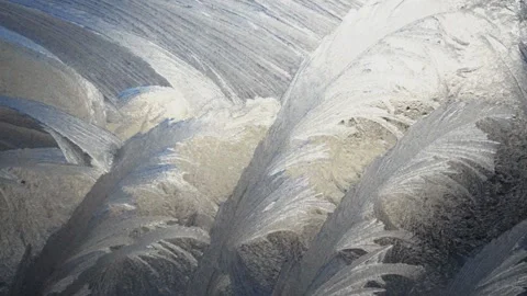 Winter's tale 動画素材 144535879