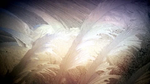 Winter's tale 動画素材 144536007