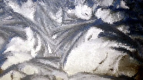 Winter's tale 動画素材 144541878