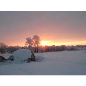 Winter's Tale Stock Illustration