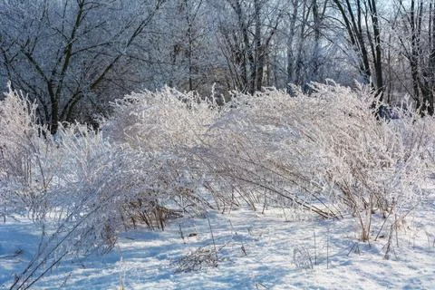 Winter's tale landscape Stock Photos