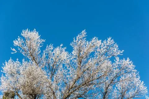 Winter's tale Stock Photos