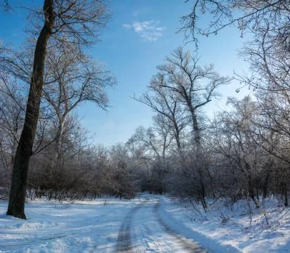 Winter's tale Stock Photos
