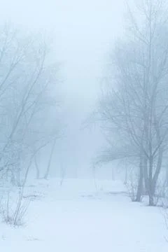 Winter's tale Stock Photos