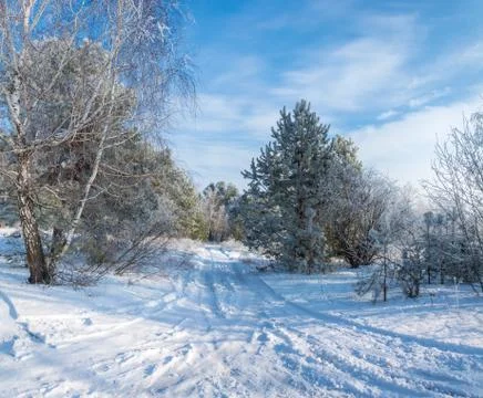 Winter's tale Stock Photos