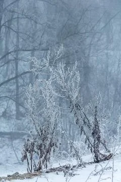 Winter's tale Stock Photos