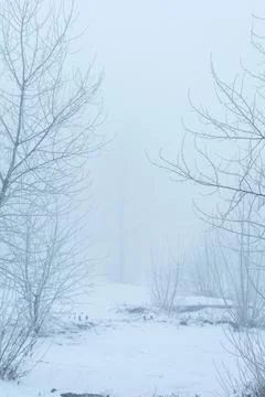 Winter's tale Foto stock