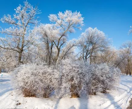 Winter's tale Foto stock