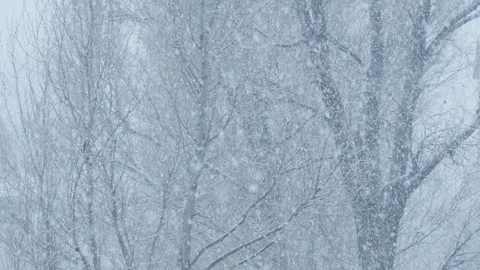 Winter's tale: Snowfall outside the window turns the city into a majestic Stock Footage 247472557
