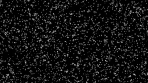 Winterstorm on black background in 4K. Stock Footage 127377861