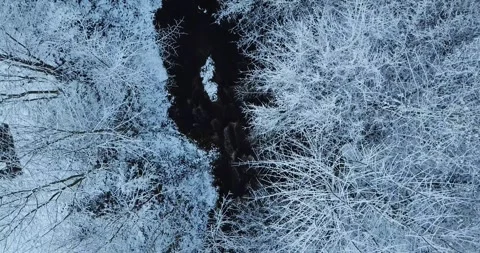 Winterstream Blackforest Stock Footage 292921887