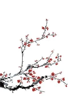 Wintersweet Stock Illustration