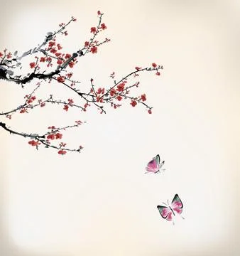 Wintersweet Stock Illustration