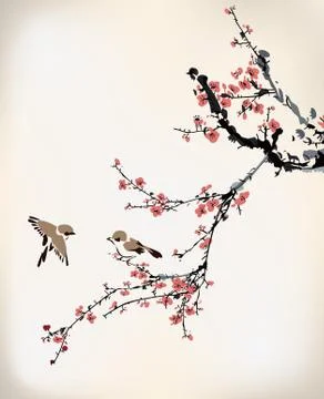 Wintersweet Stock Illustration