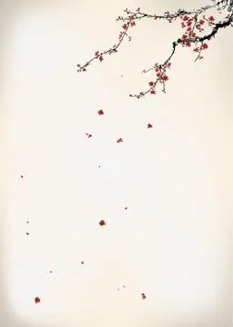 Wintersweet Stock Illustration