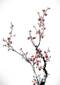 Wintersweet Stock Illustration