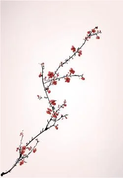 Wintersweet Stock Illustration