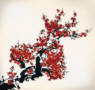 Wintersweet Stock Illustration