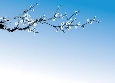 Wintersweet Stock Illustration