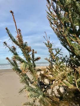 Wintertime at the beach in Belgium Stock Photos