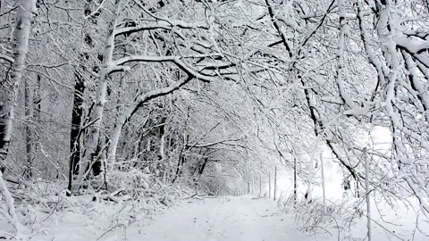 Wintertime Stock Footage 163979784