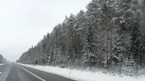 Wintertime highway with snow coated trees and foggy distant horizons Video stock 323806602
